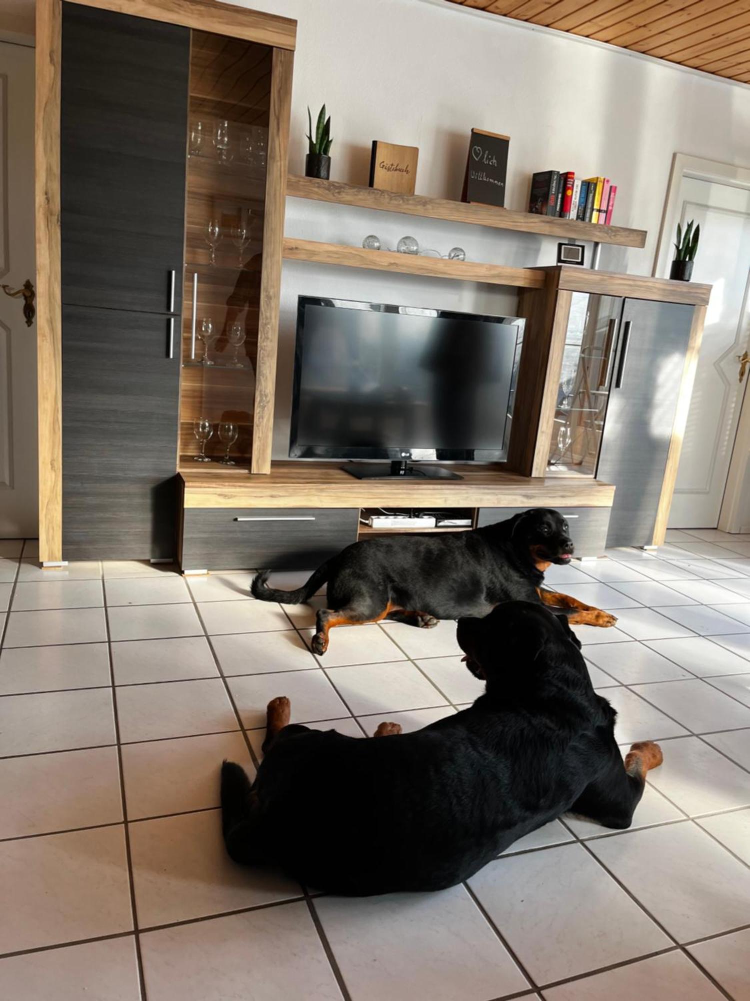 Zur Fellnase Villa Horka Ngoại thất bức ảnh